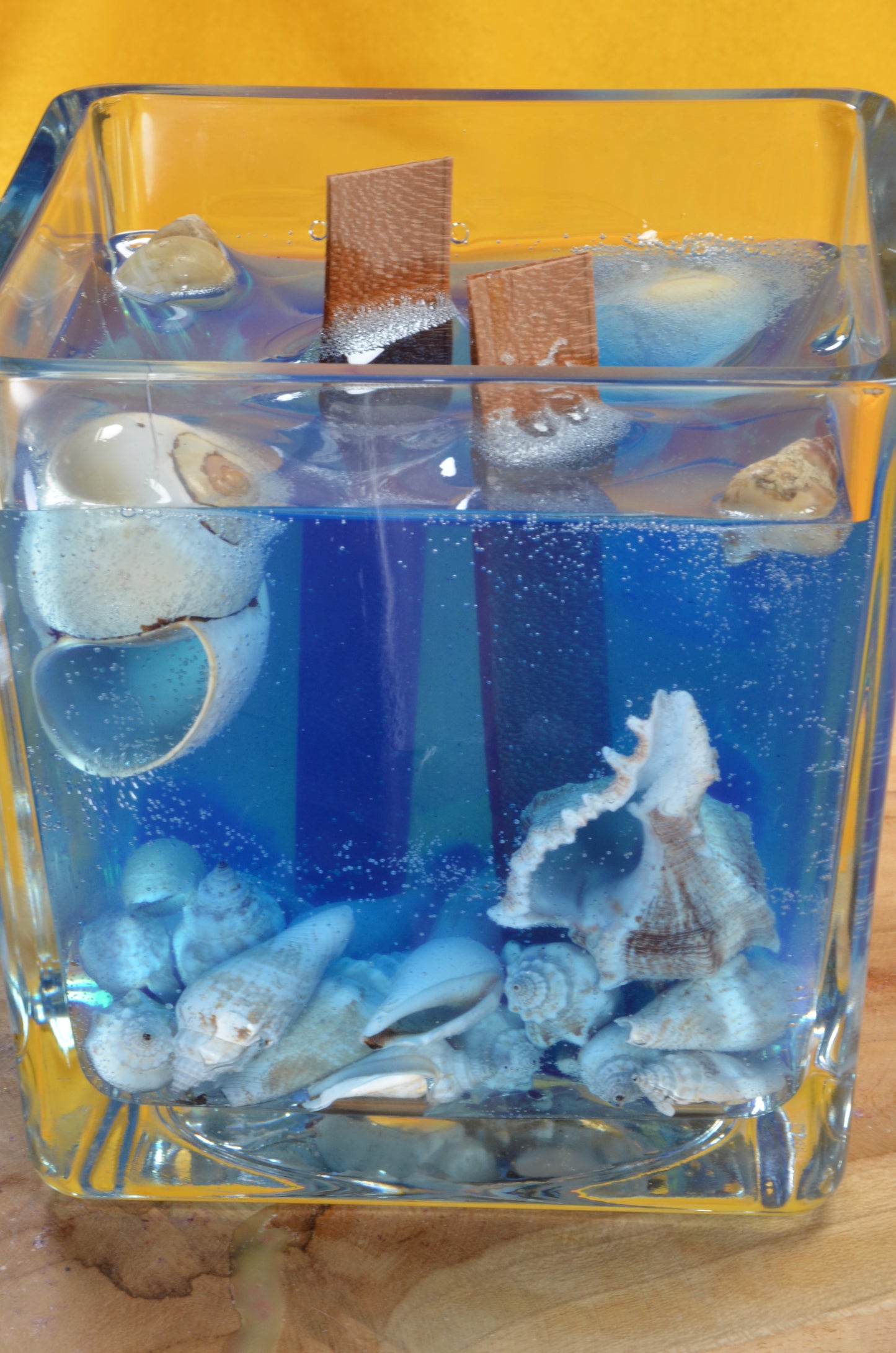 Nieuw voor 2025: XXL Schelpen Gelkaars "Blue Sea" met 2 houten Piten 15x15x15 cm - BEKIJK VIDEO