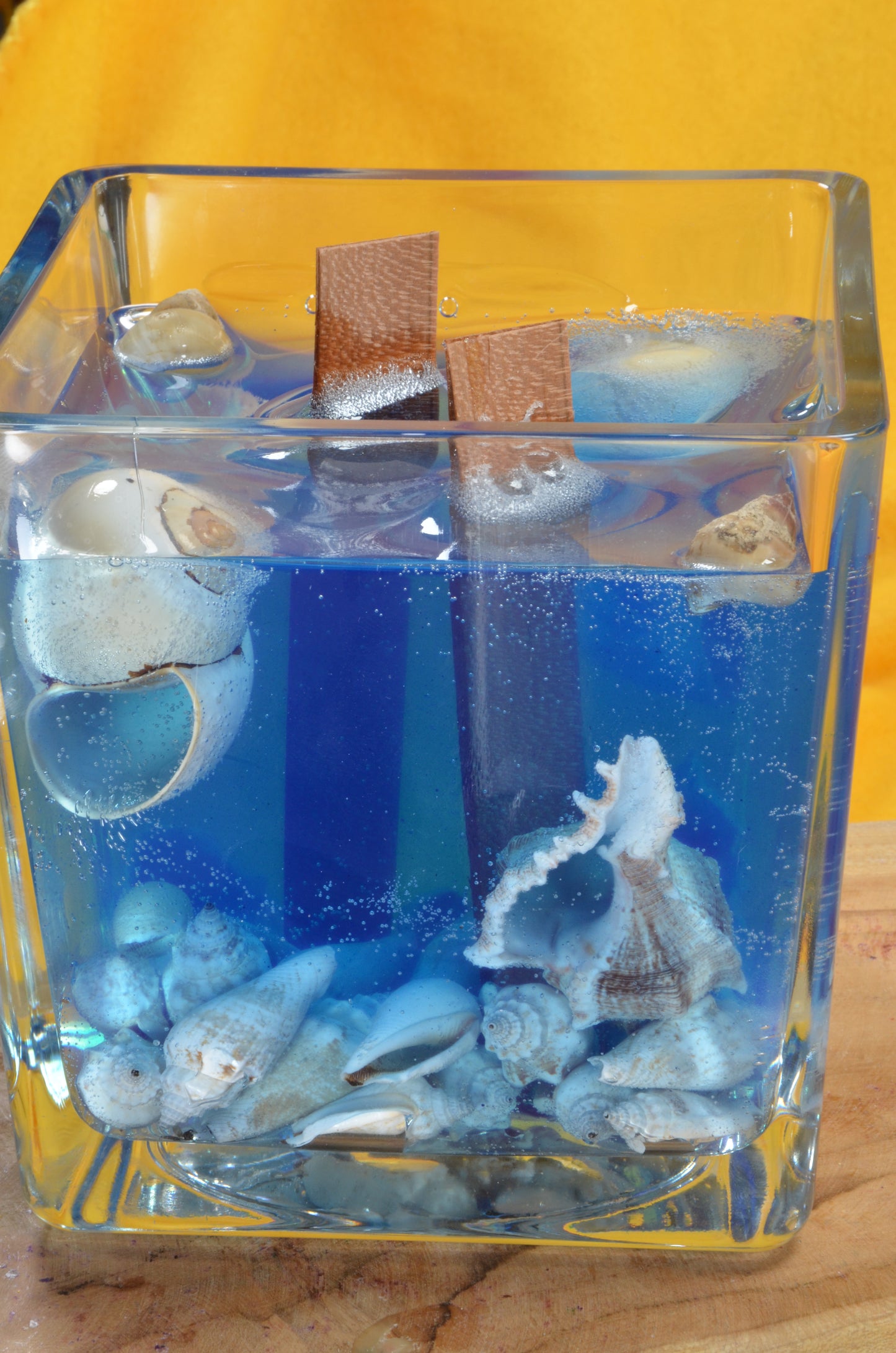 Nieuw voor 2025: XXL Schelpen Gelkaars "Blue Sea" met 2 houten Piten 15x15x15 cm - BEKIJK VIDEO