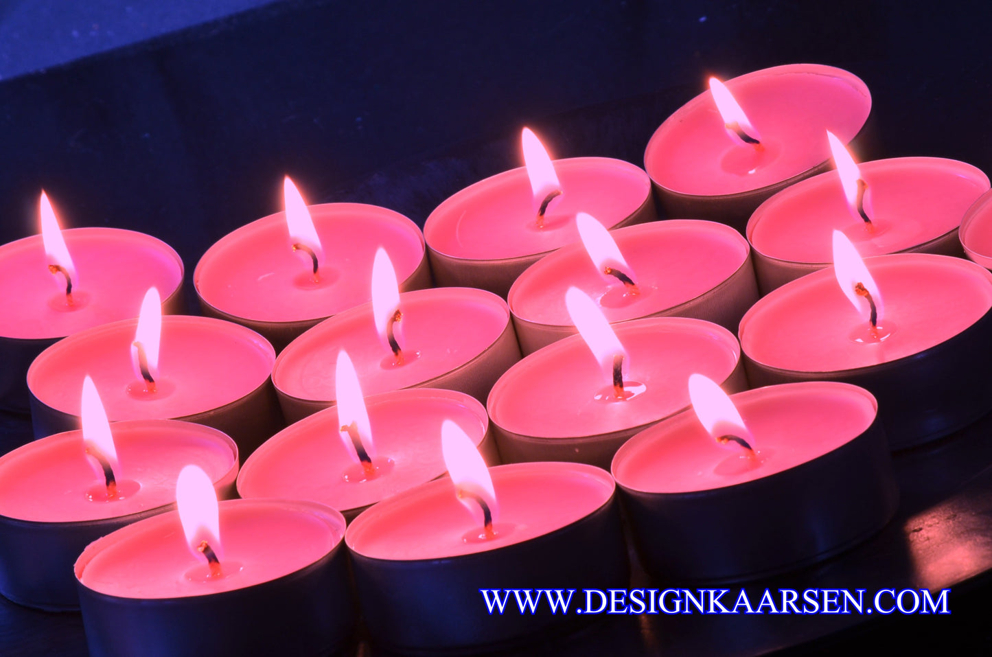 16 Wild Orchid Scented Candles - WAXINE Lights