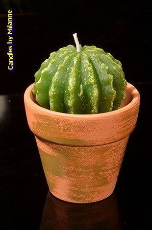 Set van 2 Cactus kaarsen  -  handwerk kaars - Candles by MilaNNE