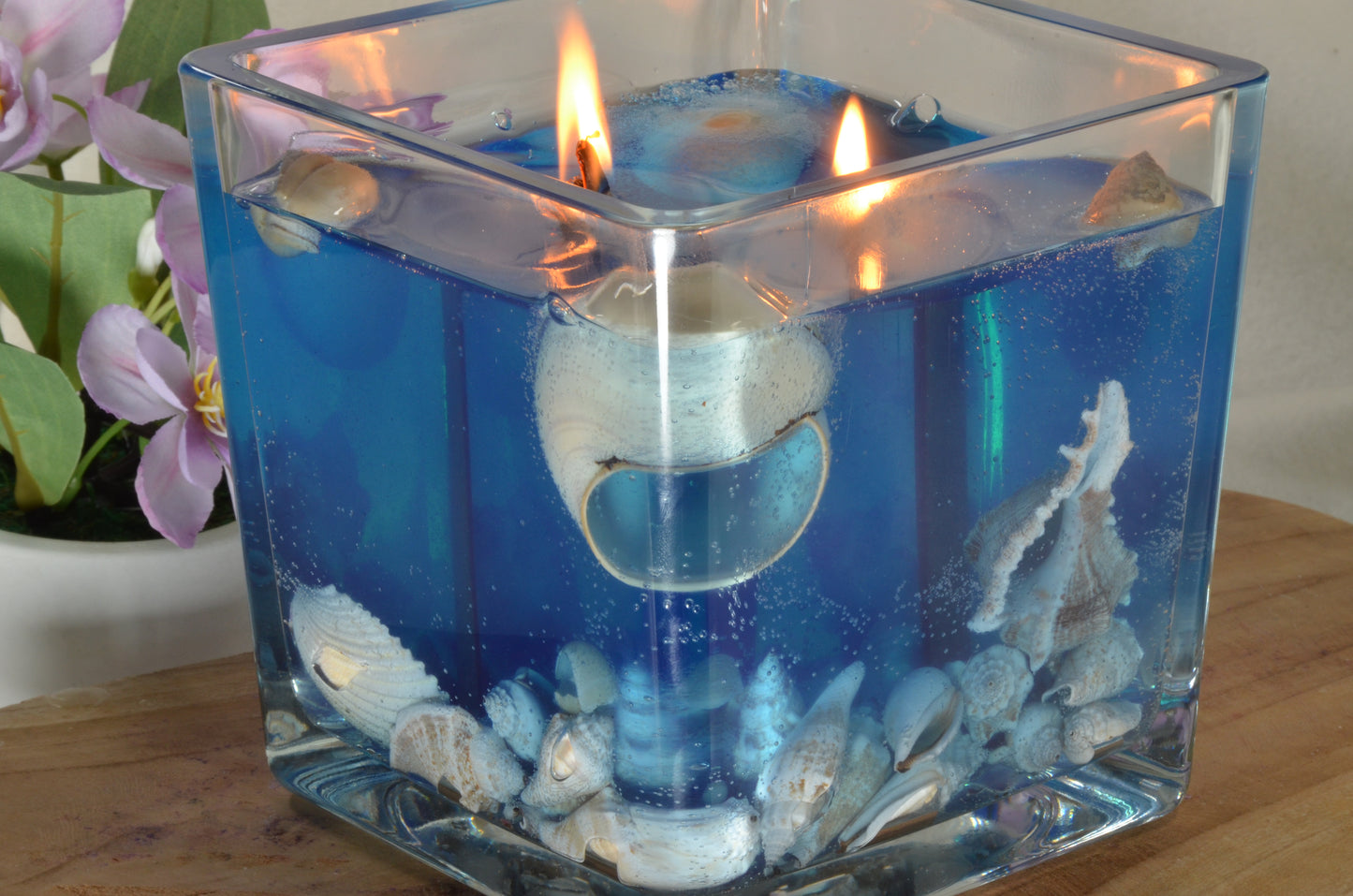 Nieuw voor 2025: XXL Schelpen Gelkaars "Blue Sea" met 2 houten Piten 15x15x15 cm - BEKIJK VIDEO