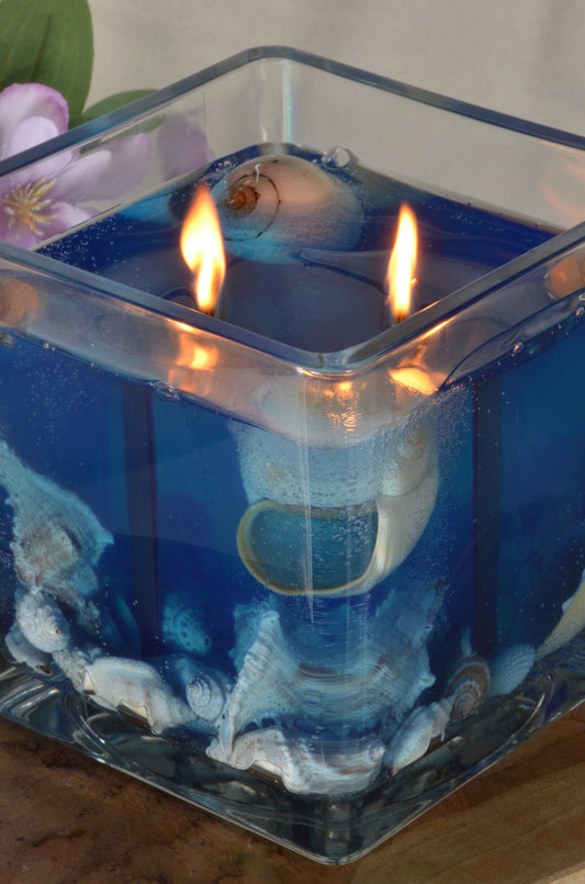 Nieuw voor 2025: XXL Schelpen Gelkaars "Blue Sea" met 2 houten Piten 15x15x15 cm - BEKIJK VIDEO