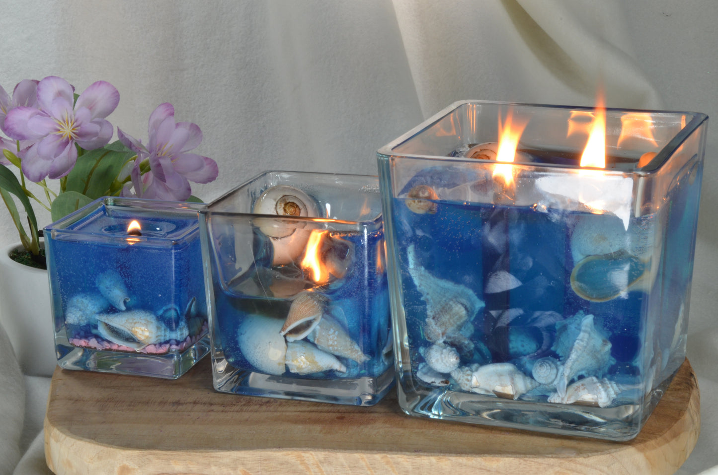 Nieuw voor 2025: XXL Schelpen Gelkaars "Blue Sea" met 2 houten Piten 15x15x15 cm - BEKIJK VIDEO