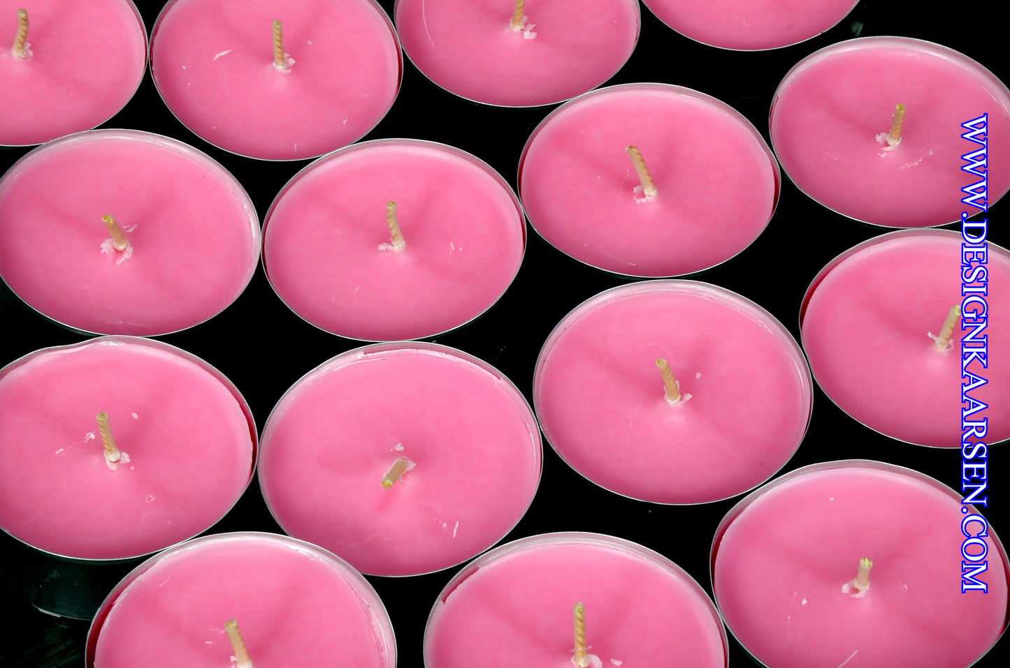 16 Wild Orchid Scented Candles - WAXINE Lights